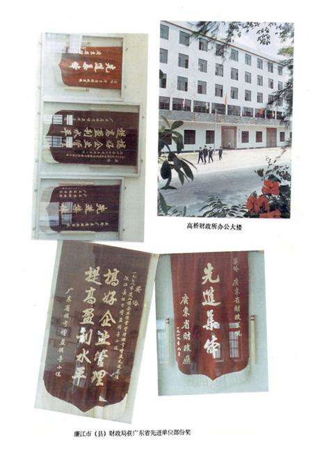 《廉江市财政志》.pdf_广东省志预览图5