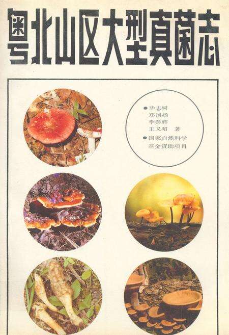 《粤北山区大型真菌志》.pdf_广东省志缩略图