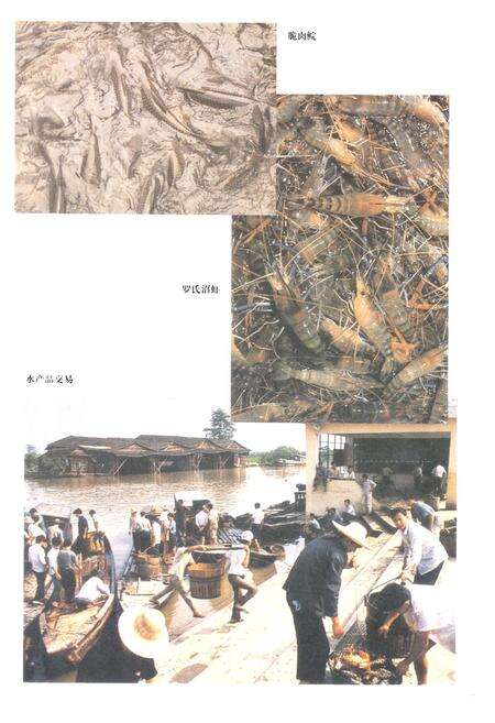 《中山市海洋与水产志》.pdf_广东省志预览图5