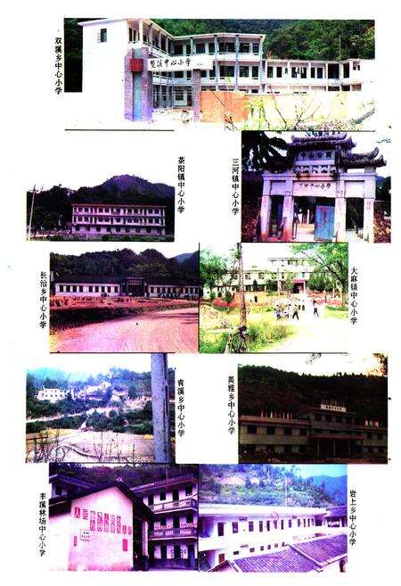 《大埔县教育志》.pdf_广东省志预览图4