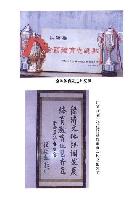 《南海县体育志》.pdf_广东省志预览图5