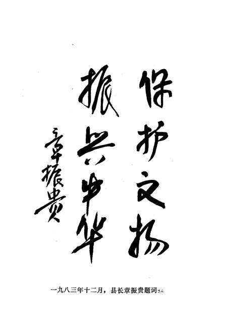 《南澳县文物志》.pdf_广东省志预览图3