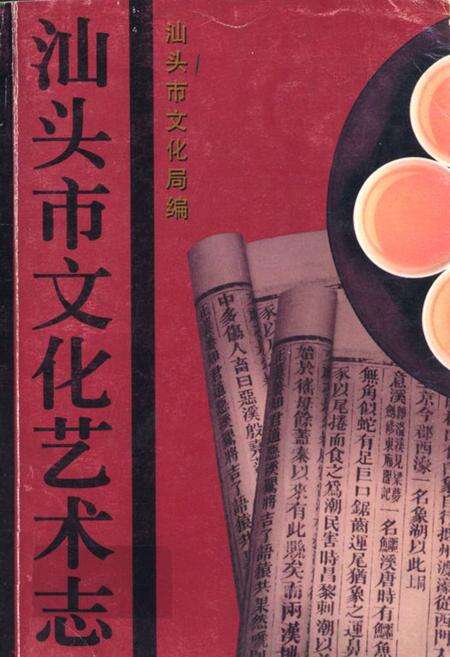 《汕头市文化艺术志》.pdf_广东省志缩略图