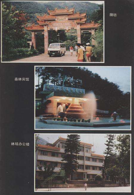 《广州市流溪河林场志》.pdf_广东省志预览图2