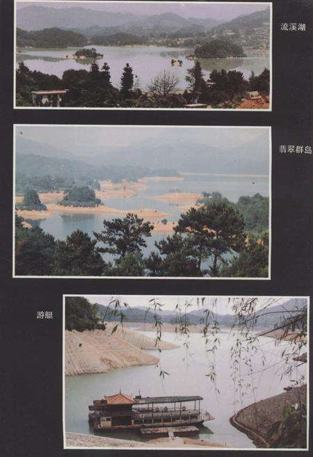 《广州市流溪河林场志》.pdf_广东省志预览图3