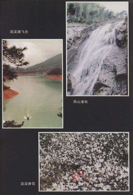 《广州市流溪河林场志》.pdf_广东省志预览图4