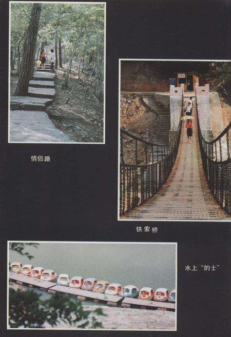 《广州市流溪河林场志》.pdf_广东省志预览图5