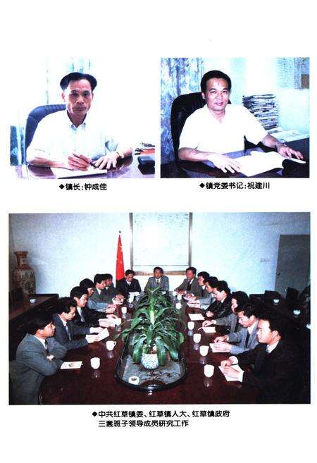 《红草镇志》.pdf_广东省志预览图4