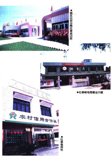 《红草镇志》.pdf_广东省志预览图5