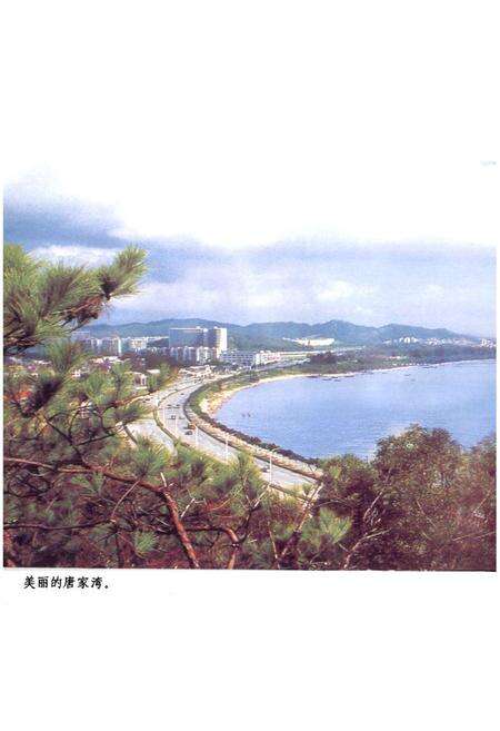 《唐家湾镇志》.pdf_广东省志预览图4