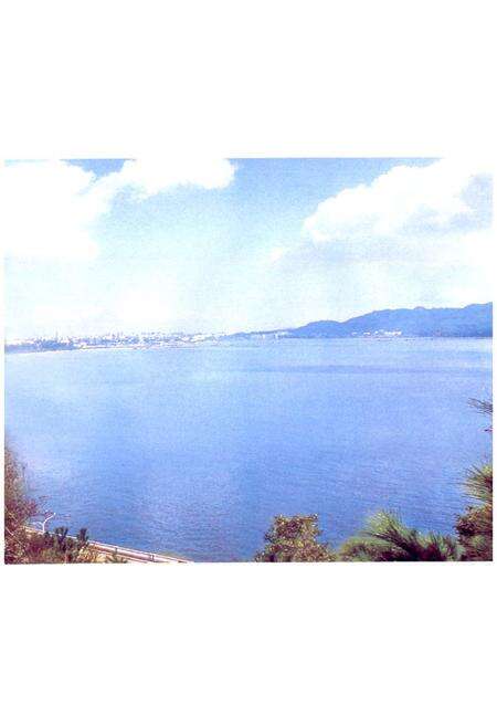 《唐家湾镇志》.pdf_广东省志预览图5