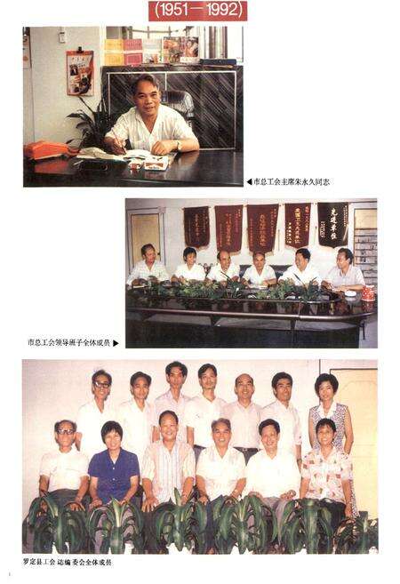 《罗定县工会志(1951-1992)》.pdf_广东省志预览图2