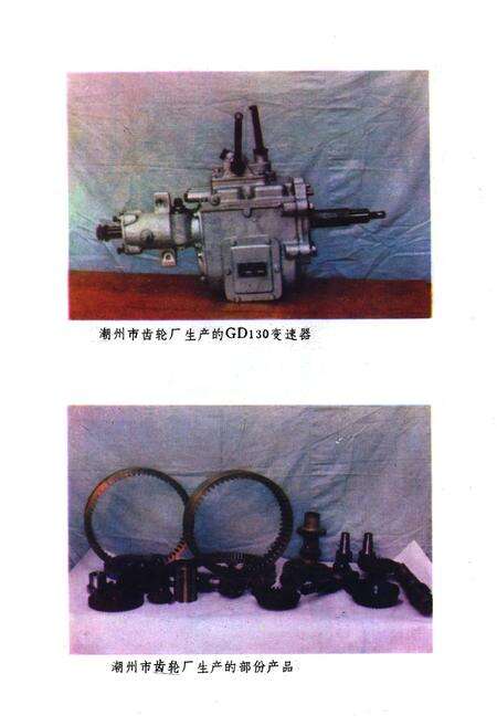 《潮州机电工业志》.pdf_广东省志预览图4