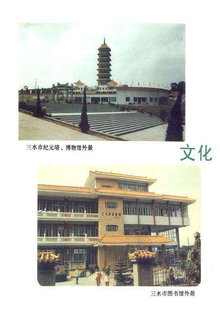 《三水县文化志》.pdf_广东省志预览图2