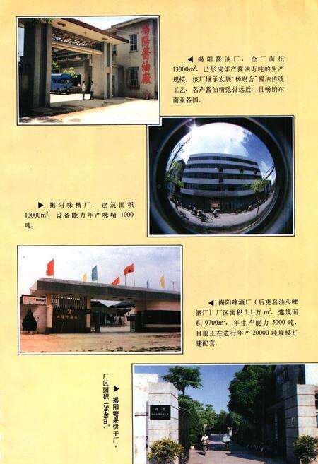 《揭阳县工业志》.pdf_广东省志预览图3