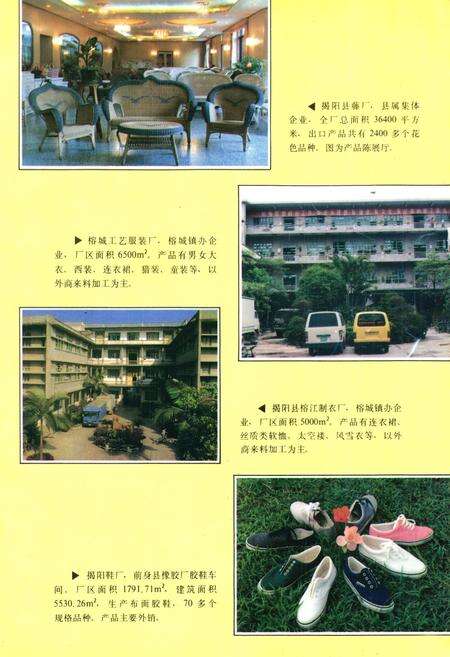 《揭阳县工业志》.pdf_广东省志预览图5