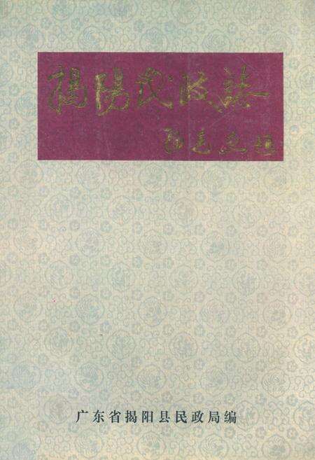 《揭阳民政志》.pdf_广东省志缩略图