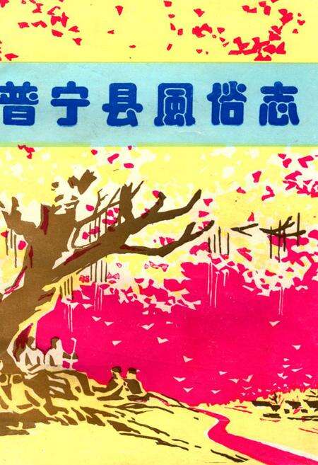 《普宁县风俗志》.pdf_广东省志缩略图