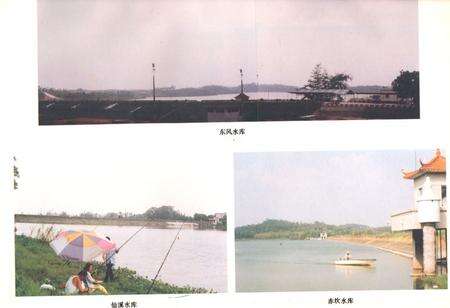 《南海水利续志(1986年-1995年)》.pdf_广东省志预览图4