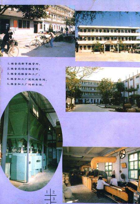 《揭阳县粮食志》.pdf_广东省志预览图5