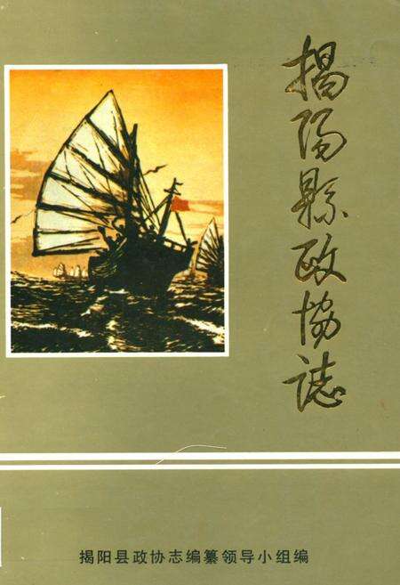 《揭阳县政协志》.pdf_广东省志缩略图