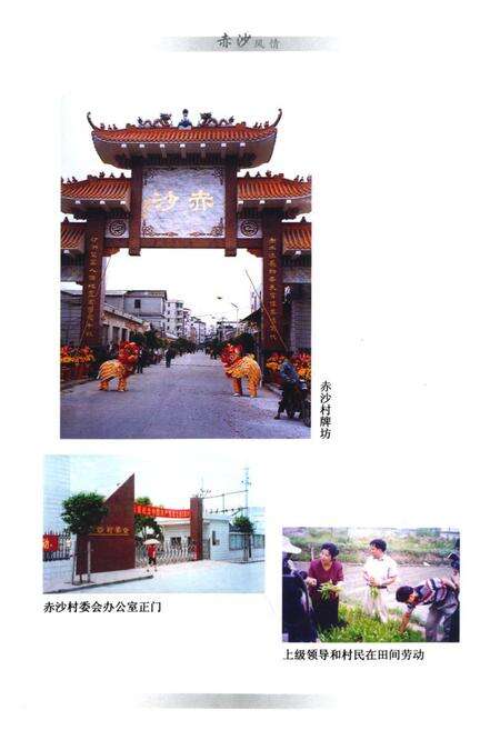 《赤沙村史》.pdf_广东省志预览图2