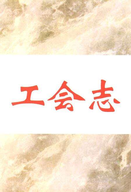 《广州市工会志》.pdf_广东省志预览图4