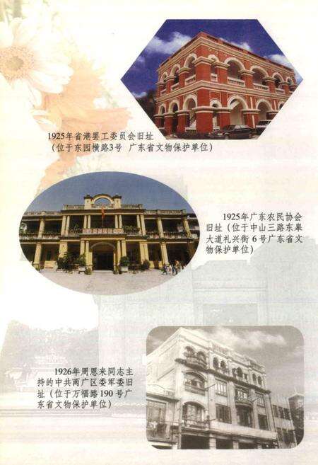 《广州市东山区文化志》.pdf_广东省志预览图5