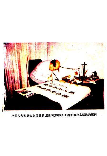 《茂名财政志》.pdf_广东省志预览图4