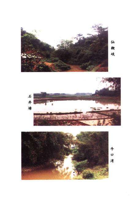 《西界庙志》.pdf_广东省志预览图5
