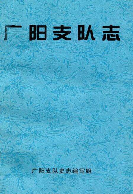 《广阳支队志》.pdf_广东省志缩略图