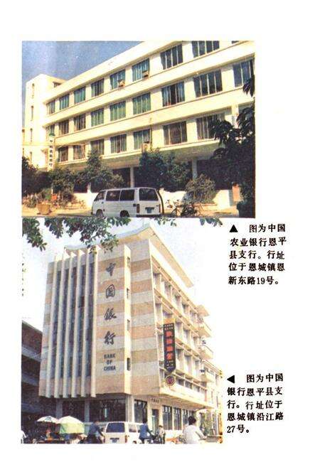 《恩平县金融志》.pdf_广东省志预览图3