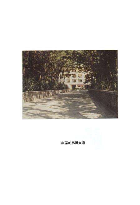 《广州手表厂志(1958-1985)》.pdf_广东省志预览图4