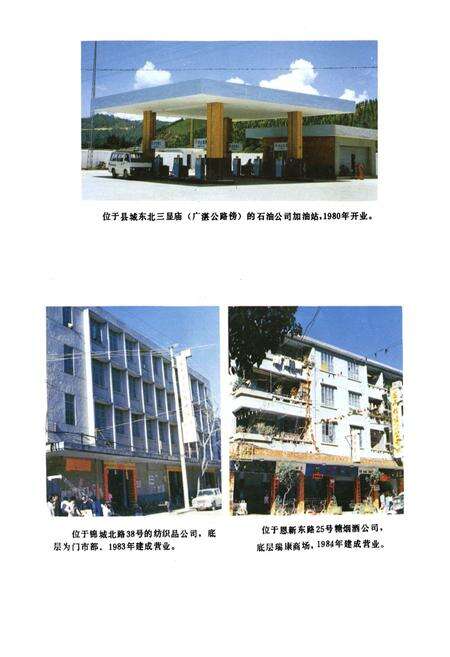 《恩平县国营商业志》.pdf_广东省志预览图5