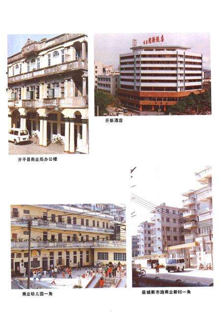 《开平县商业志》.pdf_广东省志预览图5