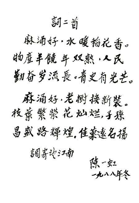 《麻涌镇志》.pdf_广东省志预览图4