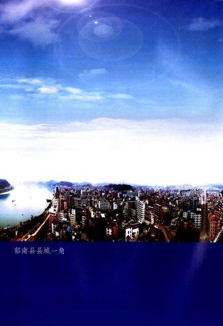 《郁南县志(1979-2000)》.pdf_广东省志预览图5