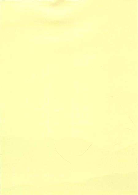 《珠江纵队图志》.pdf_广东省志预览图5