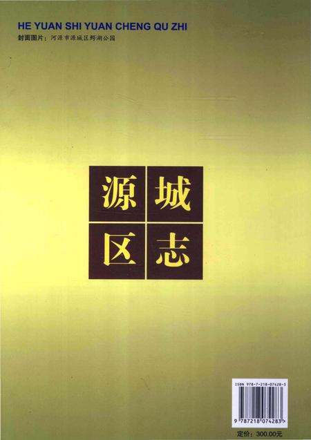 《河源市源城区志 1988-2003》.pdf_广东省志预览图2