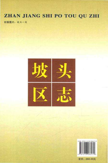 《湛江市坡头区志》.pdf_广东省志预览图2