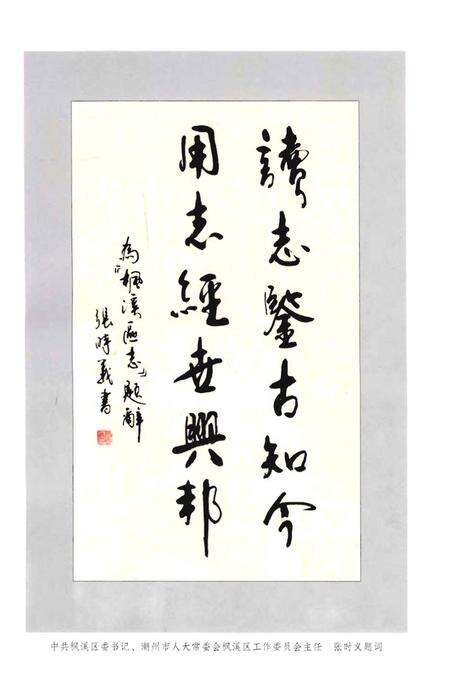《潮州市枫溪区地方志》.pdf_广东省志预览图4