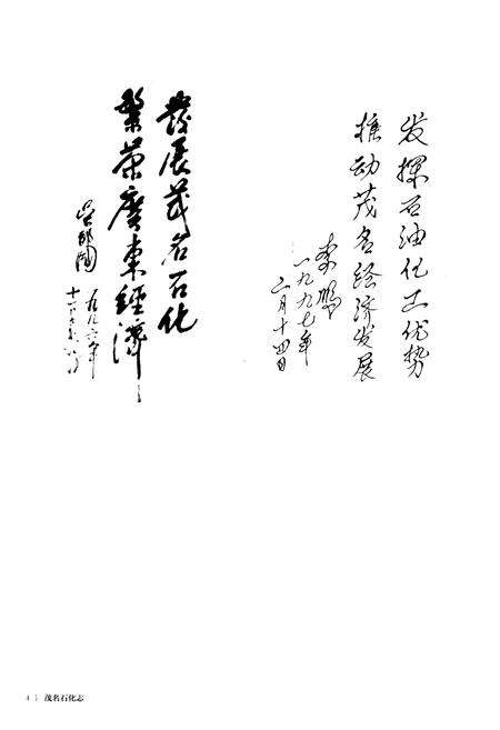 《茂名石化志》.pdf_广东省志预览图5