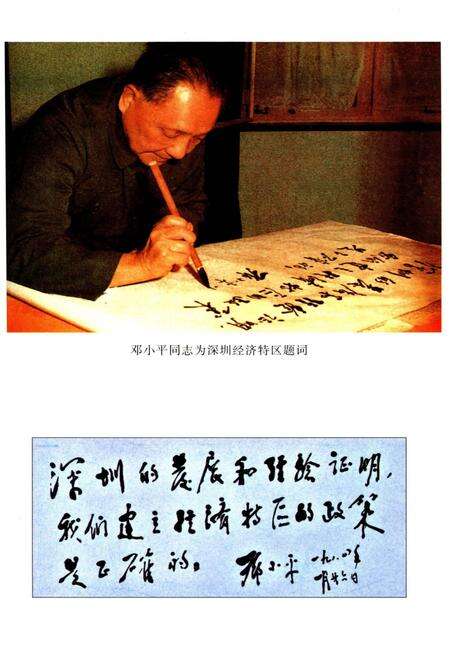 《深圳市大事记》.pdf_广东省志预览图5