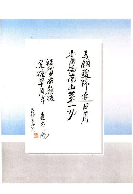 《南山的辉煌》.pdf_广东省志预览图4
