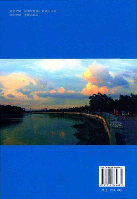《东莞市望牛墩镇志》.pdf_广东省志预览图1