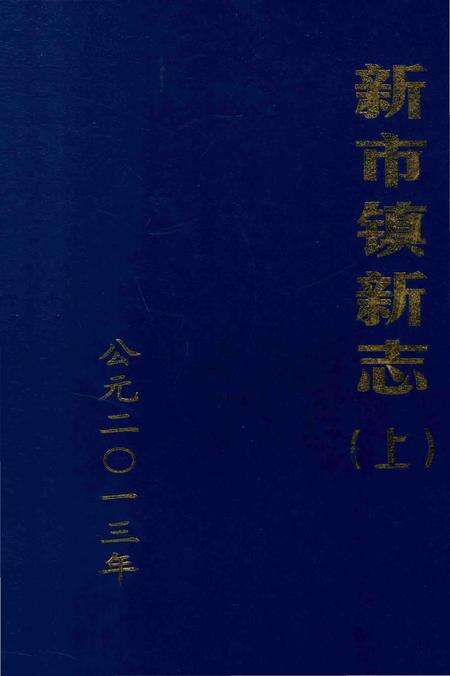 《新市镇新志(上)》.pdf_广东省志缩略图