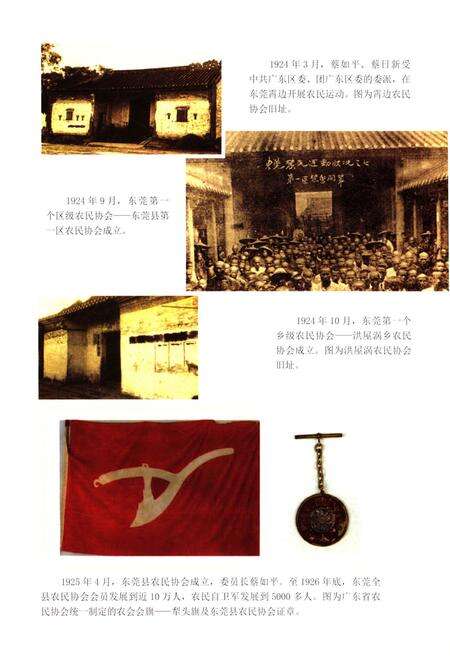 《东莞工农革命运动纪实》.pdf_广东省志预览图4