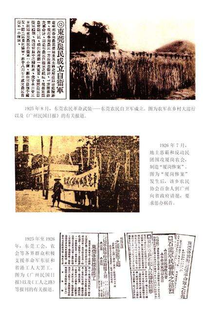 《东莞工农革命运动纪实》.pdf_广东省志预览图5