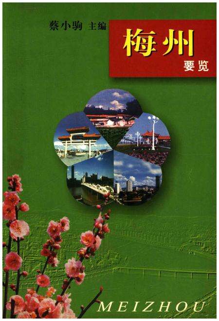 《梅州要览》.pdf_广东省志缩略图