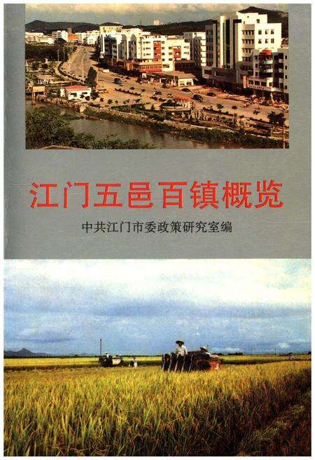 《江门五邑百镇概览》.pdf_广东省志缩略图